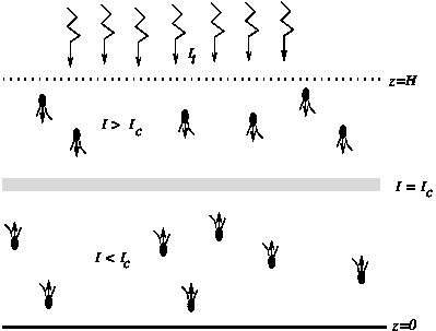 Equilibrium(Fixed)_Point